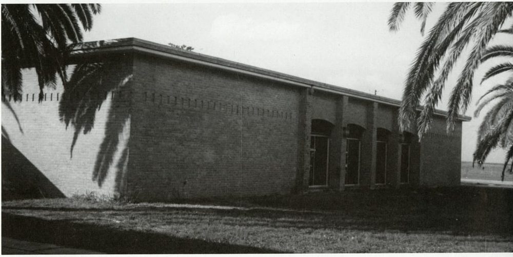 Alice G. K. Kleberg Memorial Library (Juntos 2001)